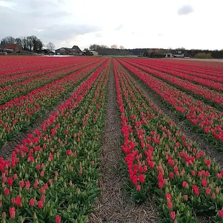 De Wagen 캠프장
